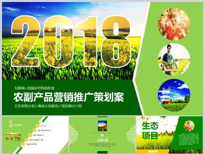 2018互聯(lián)網+農副產品市場推廣企業(yè)營銷策劃案